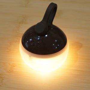 【点灯確認済】美品 スノーピーク（snowpeak） たねほおずき　つち ES-041R BR ランタン・ライト　LEDミニランタン　ブラウン　ランプ [送料無料]